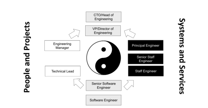 the career path of a software developer