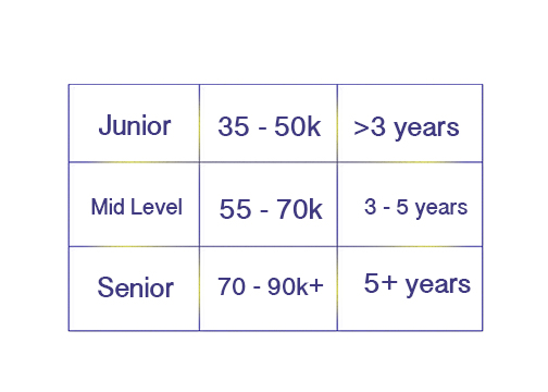 Salaries for Project Managers In Ireland