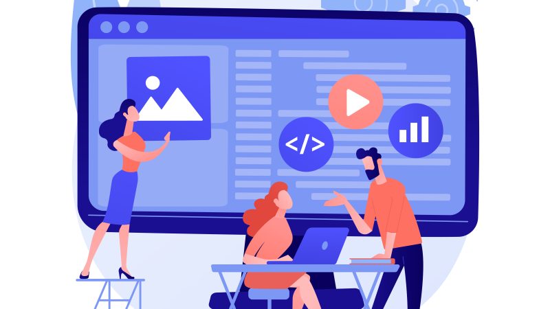 Senior software engineers